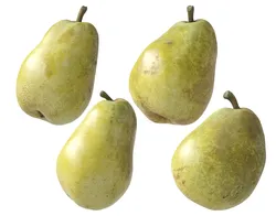 Kieffer Pears 3D Model Pack