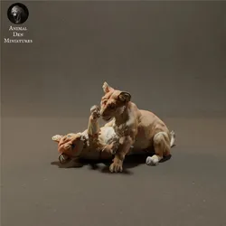 Lion Cubs Playing