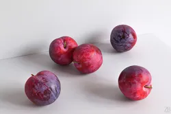 Plum  3D model