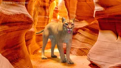 Snarling Puma 3D model