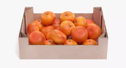 Tangerines in Box - Filled Cardboard Produce Crate 3D model