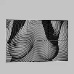 WALL ART - a woman with big tits posing for the camera.