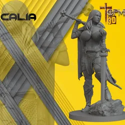 WARRIOR FOR TABLETOP RPG