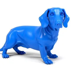 Dachshund dog