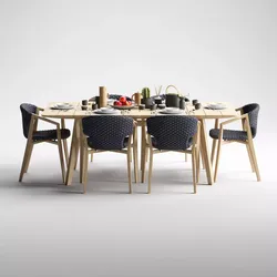 Ethimo Knit dining armchair and rectangular table 3D model