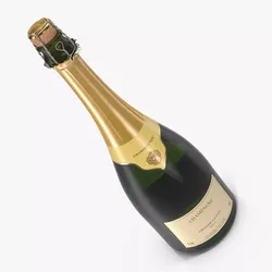 French Champagne Bottle Generic Foil Top Opened 3D model