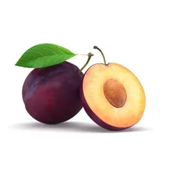 Plum model two plums 3D model