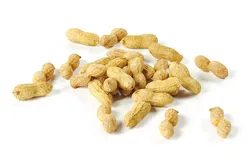 polypasta - peanut 01 and 02 3D model