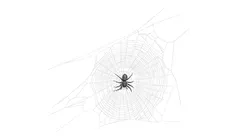 Round Web with Spider 3D model