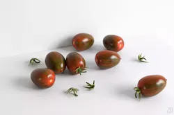 Tomato 3D model