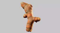 Turmeric - Photorealistic Scan Low-poly 3D model
