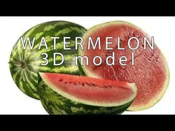 4k Watermelon 3D model