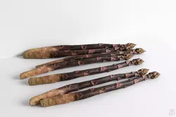 Asparagus 3D model