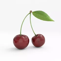 cherry 3D model two cherries 3D model