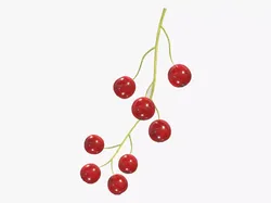 Currants Low Poly 3D model