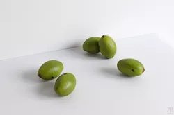 Makok 3D model