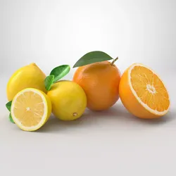 Orange and Lemon 3D model