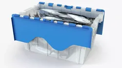 Plastic Fish Crate with Atlantic Herring 3D model
