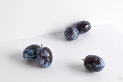 Plum  3D model