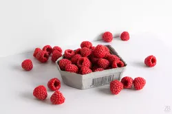 Raspberry 3D model