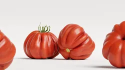 Tomato 3D model