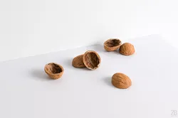 Walnut 3D model