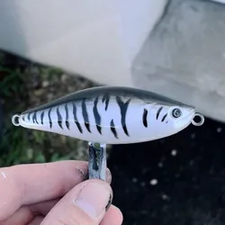 Fishing lure and 3D stencil