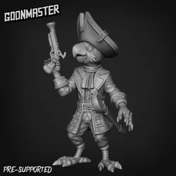Male Parrot Pirate 3