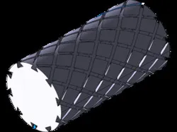 Rib1