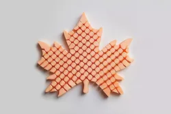 Articulated Maple Leaf Flexible Print-in-Place Fidget Toy 3D print model