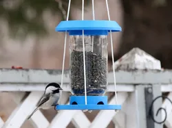Bird Feeder Single Head Raos 770ml Jar - Free 3D Print Model