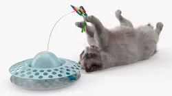 Ragdoll Cat Playing with Cat Teaser Toy Fur 3D model