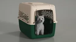 West Highland White Terrier in Pet Carrier Fur for Cinema 4D 3D model
