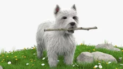 West Highland White Terrier with Blooming Flowers Fur Cinema 4D 3D model