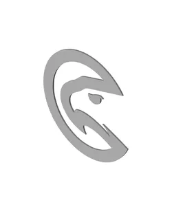 Atlanta Hawks