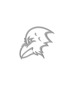 Baltimore Ravens