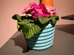 Flower Pot  - Free 3D Print Model