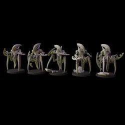Noctumbras Melee