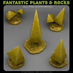 PYRAMID MUSHROOMS