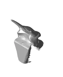 #Throwback Charizard Skull Dice Tower