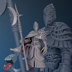 Jinassar elite guard