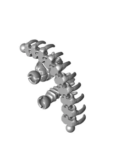 Mini Snake Skeleton