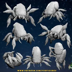 Net Spiders