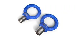 M30 & M36 Eye Bolt