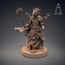 Elf Druid