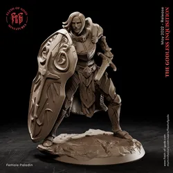 Female Human Paladin