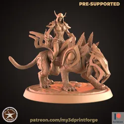 Nightborne Elf Female Rider