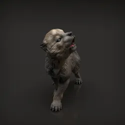Wolf Pup