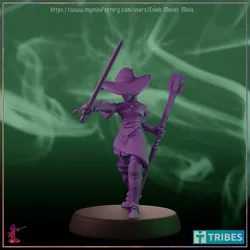Bladesinger Wizard, Elf Mage | Witch Series