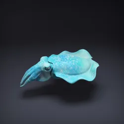 Cuttlefish